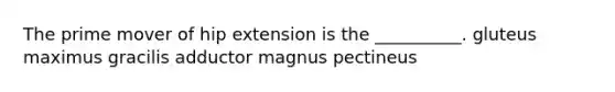 The prime mover of hip extension is the __________. gluteus maximus gracilis adductor magnus pectineus