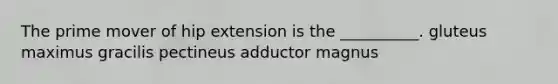 The prime mover of hip extension is the __________. gluteus maximus gracilis pectineus adductor magnus