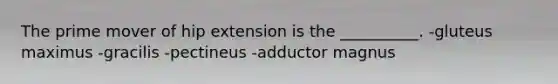 The prime mover of hip extension is the __________. -gluteus maximus -gracilis -pectineus -adductor magnus