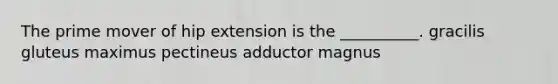 The prime mover of hip extension is the __________. gracilis gluteus maximus pectineus adductor magnus