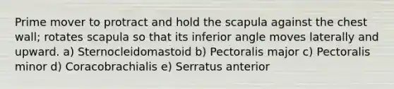 Prime mover to protract and hold the scapula against the chest wall; rotates scapula so that its inferior angle moves laterally and upward. a) Sternocleidomastoid b) Pectoralis major c) Pectoralis minor d) Coracobrachialis e) Serratus anterior