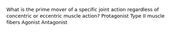 What is the prime mover of a specific joint action regardless of concentric or eccentric muscle action? Protagonist Type II muscle fibers Agonist Antagonist