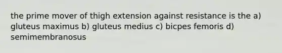 the prime mover of thigh extension against resistance is the a) gluteus maximus b) gluteus medius c) bicpes femoris d) semimembranosus