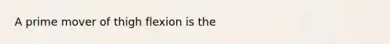 A prime mover of thigh flexion is the