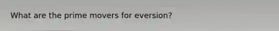 What are the prime movers for eversion?