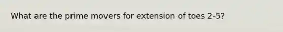 What are the prime movers for extension of toes 2-5?