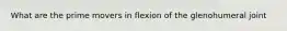 What are the prime movers in flexion of the glenohumeral joint