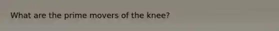 What are the prime movers of the knee?