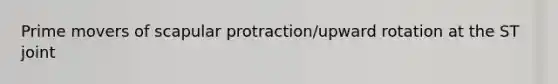 Prime movers of scapular protraction/upward rotation at the ST joint