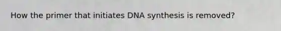 How the primer that initiates DNA synthesis is removed?