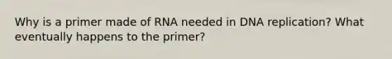 Why is a primer made of RNA needed in DNA replication? What eventually happens to the primer?