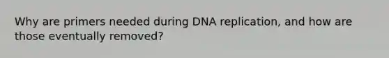 Why are primers needed during DNA replication, and how are those eventually removed?