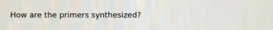 How are the primers synthesized?