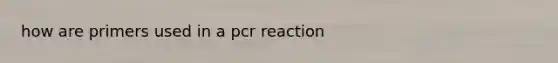 how are primers used in a pcr reaction