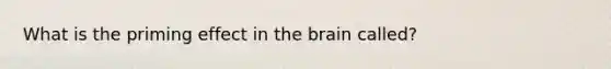 What is the priming effect in the brain called?