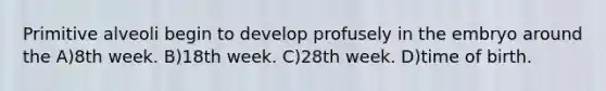 Primitive alveoli begin to develop profusely in the embryo around the A)8th week. B)18th week. C)28th week. D)time of birth.
