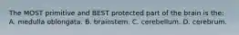 The MOST primitive and BEST protected part of the brain is​ the: A. medulla oblongata. B. brainstem. C. cerebellum. D. cerebrum.
