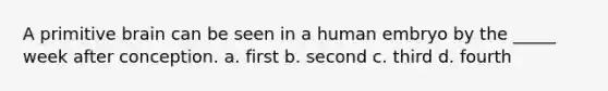 A primitive brain can be seen in a human embryo by the _____ week after conception. a. first b. second c. third d. fourth