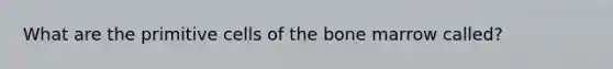 What are the primitive cells of the bone marrow called?