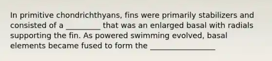 In primitive chondrichthyans, fins were primarily stabilizers and consisted of a _________ that was an enlarged basal with radials supporting the fin. As powered swimming evolved, basal elements became fused to form the _________________