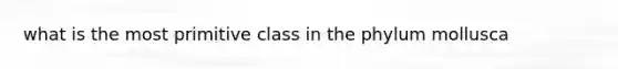 what is the most primitive class in the phylum mollusca