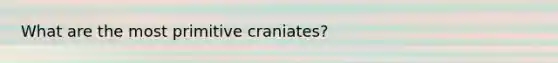 What are the most primitive craniates?