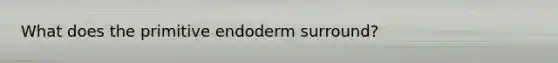 What does the primitive endoderm surround?