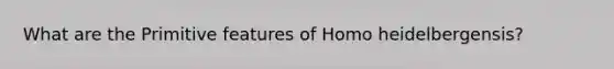 What are the Primitive features of Homo heidelbergensis?