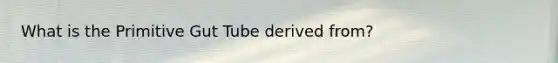 What is the Primitive Gut Tube derived from?