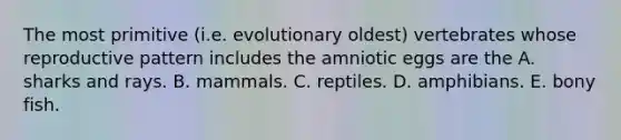 The most primitive (i.e. evolutionary oldest) vertebrates whose reproductive pattern includes the amniotic eggs are the A. sharks and rays. B. mammals. C. reptiles. D. amphibians. E. bony fish.