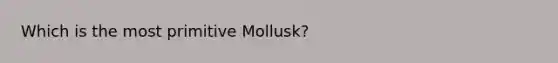 Which is the most primitive Mollusk?