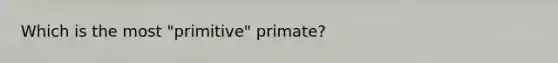 Which is the most "primitive" primate?