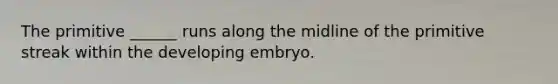 The primitive ______ runs along the midline of the primitive streak within the developing embryo.