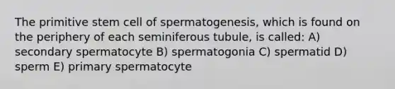 The primitive stem cell of spermatogenesis, which is found on the periphery of each seminiferous tubule, is called: A) secondary spermatocyte B) spermatogonia C) spermatid D) sperm E) primary spermatocyte