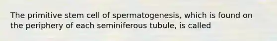 The primitive stem cell of spermatogenesis, which is found on the periphery of each seminiferous tubule, is called