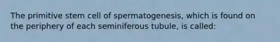 The primitive stem cell of spermatogenesis, which is found on the periphery of each seminiferous tubule, is called: