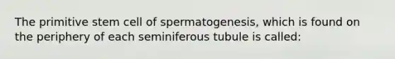 The primitive stem cell of spermatogenesis, which is found on the periphery of each seminiferous tubule is called: