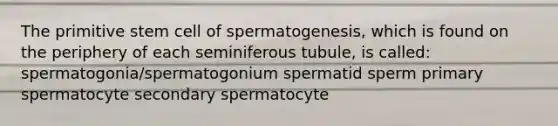 The primitive stem cell of spermatogenesis, which is found on the periphery of each seminiferous tubule, is called: spermatogonia/spermatogonium spermatid sperm primary spermatocyte secondary spermatocyte