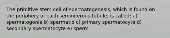 The primitive stem cell of spermatogenesis, which is found on the periphery of each seminiferous tubule, is called: a) spermatogonia b) spermatid c) primary spermatocyte d) secondary spermatocyte e) sperm