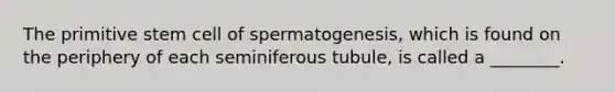 The primitive stem cell of spermatogenesis, which is found on the periphery of each seminiferous tubule, is called a ________.