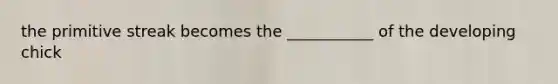 the primitive streak becomes the ___________ of the developing chick