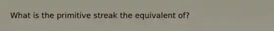 What is the primitive streak the equivalent of?