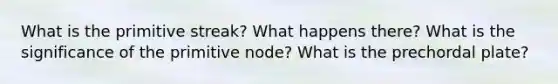 What is the primitive streak? What happens there? What is the significance of the primitive node? What is the prechordal plate?