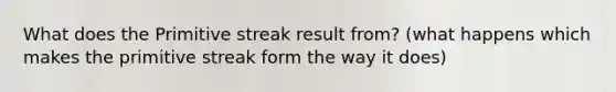 What does the Primitive streak result from? (what happens which makes the primitive streak form the way it does)