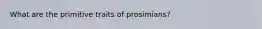 What are the primitive traits of prosimians?