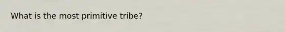 What is the most primitive tribe?