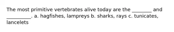 The most primitive vertebrates alive today are the ________ and __________. a. hagfishes, lampreys b. sharks, rays c. tunicates, lancelets