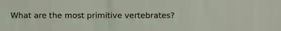 What are the most primitive vertebrates?