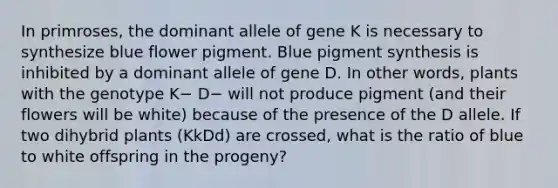 In primroses, the dominant allele of gene K is necessary to synthesize blue flower pigment. Blue pigment synthesis is inhibited by a dominant allele of gene D. In other words, plants with the genotype K− D− will not produce pigment (and their flowers will be white) because of the presence of the D allele. If two dihybrid plants (KkDd) are crossed, what is the ratio of blue to white offspring in the progeny?