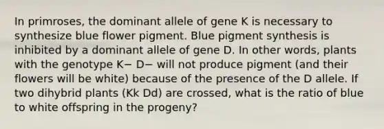 In primroses, the dominant allele of gene K is necessary to synthesize blue flower pigment. Blue pigment synthesis is inhibited by a dominant allele of gene D. In other words, plants with the genotype K− D− will not produce pigment (and their flowers will be white) because of the presence of the D allele. If two dihybrid plants (Kk Dd) are crossed, what is the ratio of blue to white offspring in the progeny?